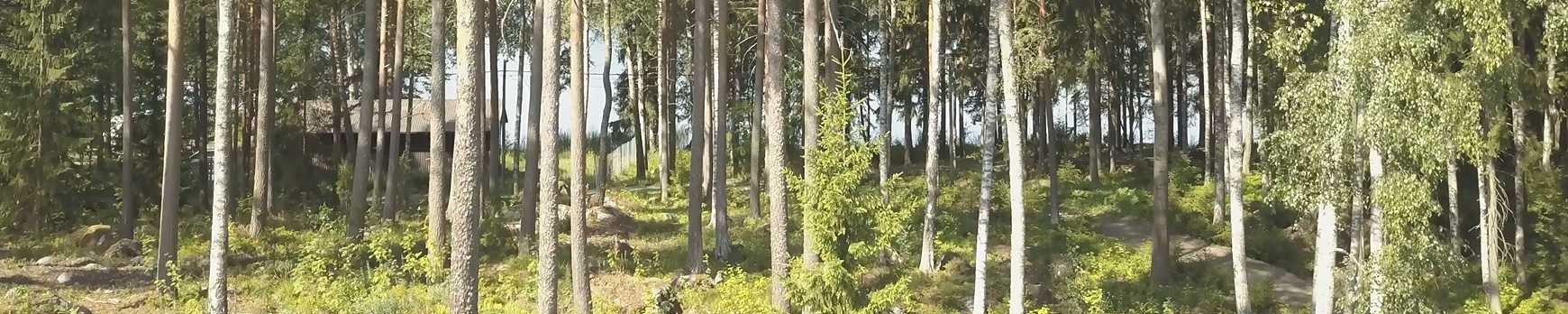 Rantanäkymä